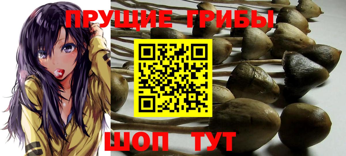 Галлюциногенные грибы Cubensis Магнитогорск
