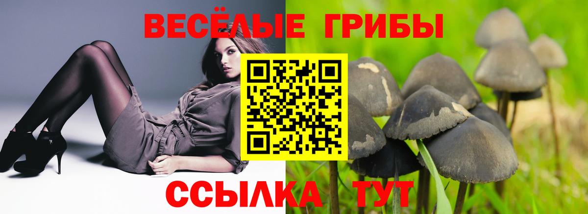 Магнитогорск  Псилоцибиновые грибы прущие грибы  Вход с VPN 